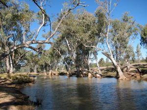 IMG_4327_klein formaat