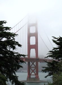 IMG_5008_klein formaat