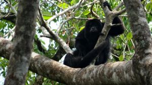 DSC02187_klein formaat