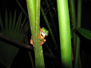 Imagen 137_klein formaat