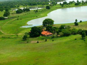 fazenda Barranco Alto