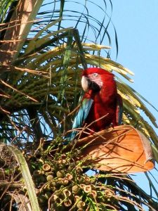 IMG_0498B_klein formaat