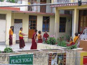 IMG_1476_klein formaat