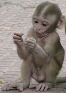 IMG_1543_bewerkt-1_klein formaat