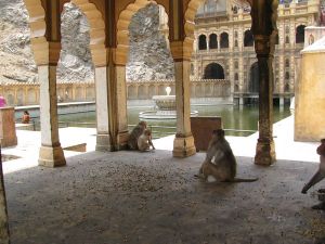 IMG_1582_klein formaat