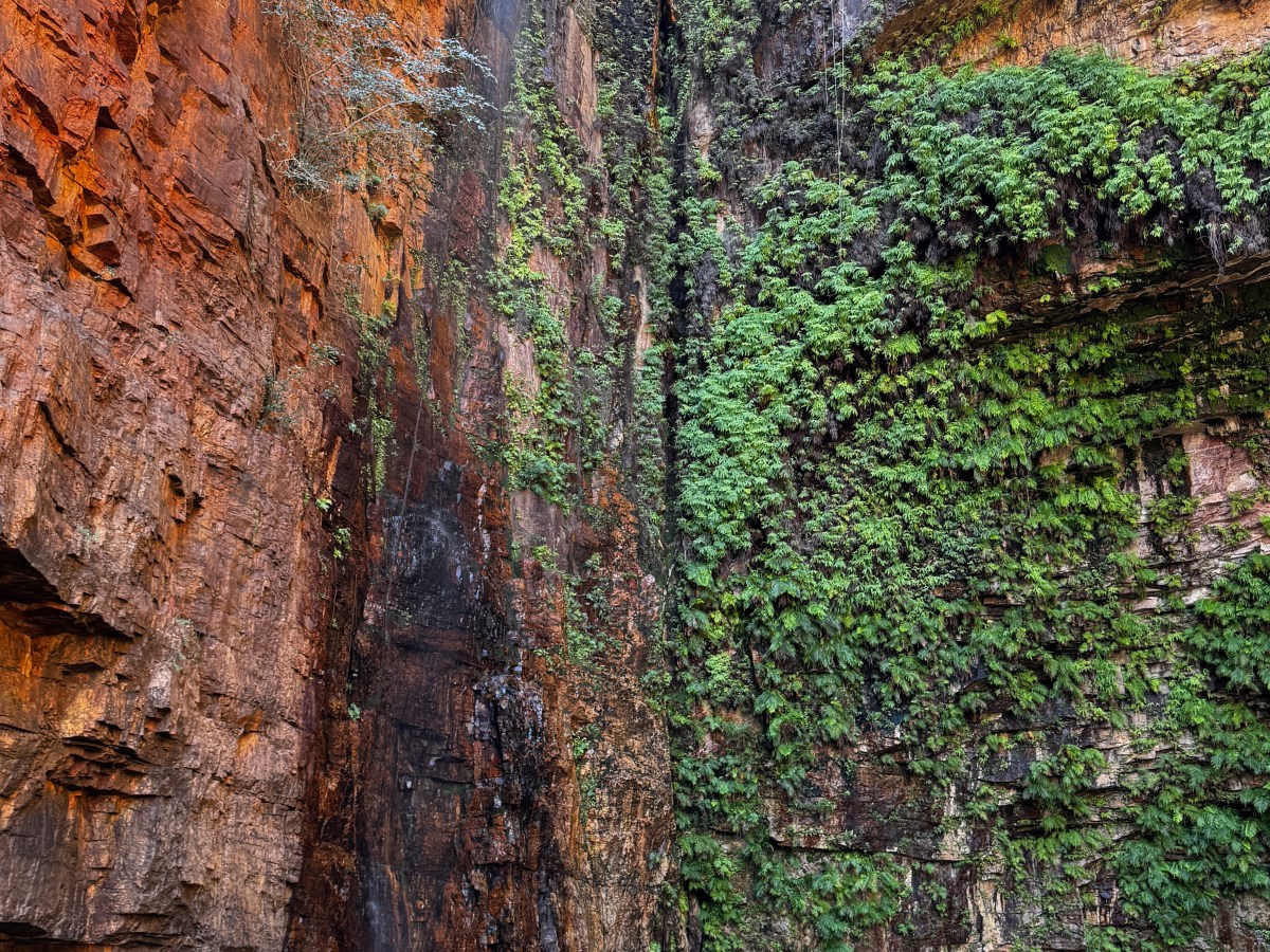 Een avontuurlijke dag in Emma&nbsp;Gorge