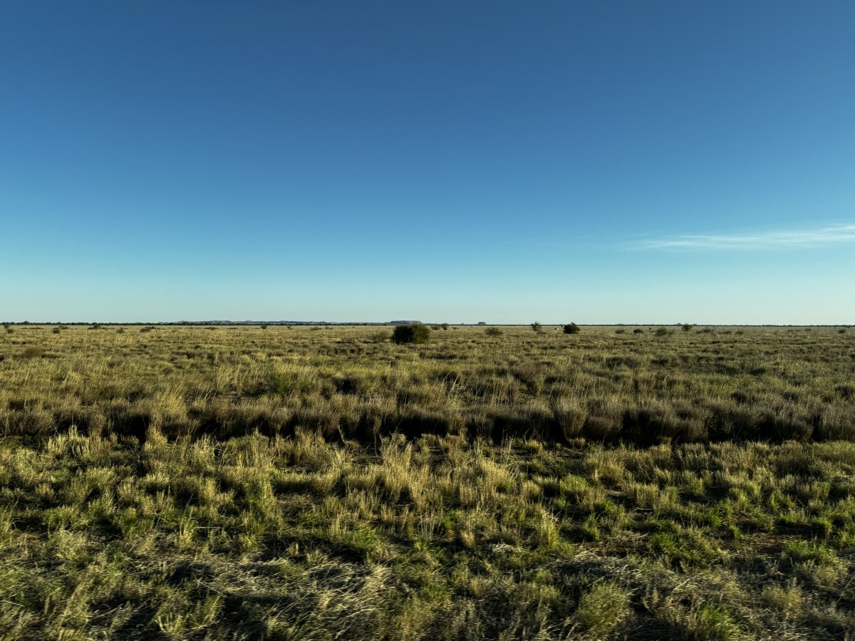 Reiservaring: Van Purnululu naar Fitzroy&nbsp;Crossing