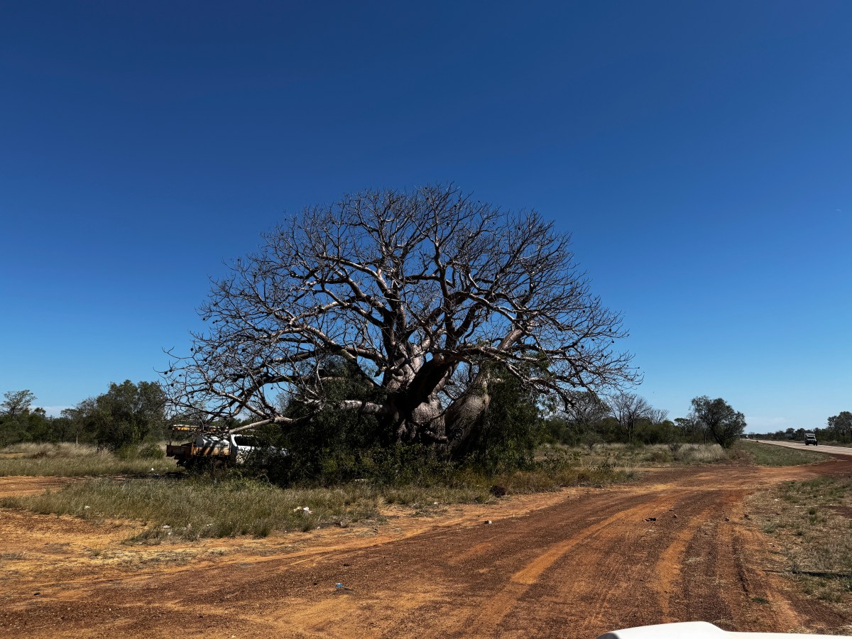 Fitzroy Crossing – Broome: laatste stuk van de road&nbsp;trip